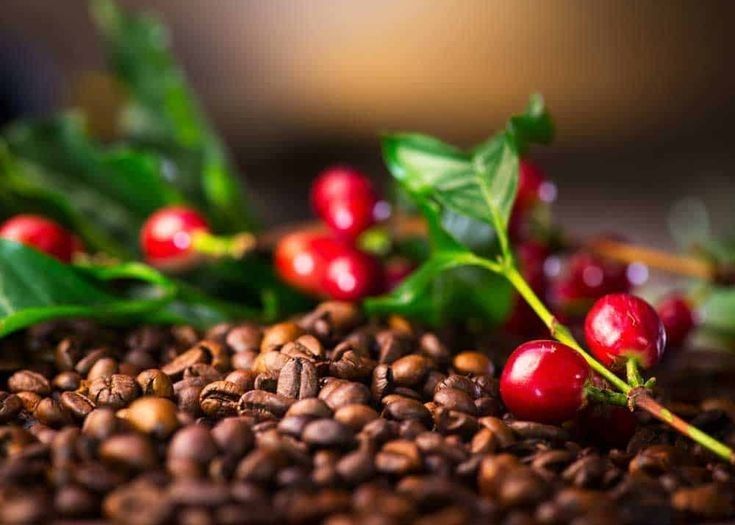 la dedicación a procesos que respetan la tierra y exaltan el sabor.