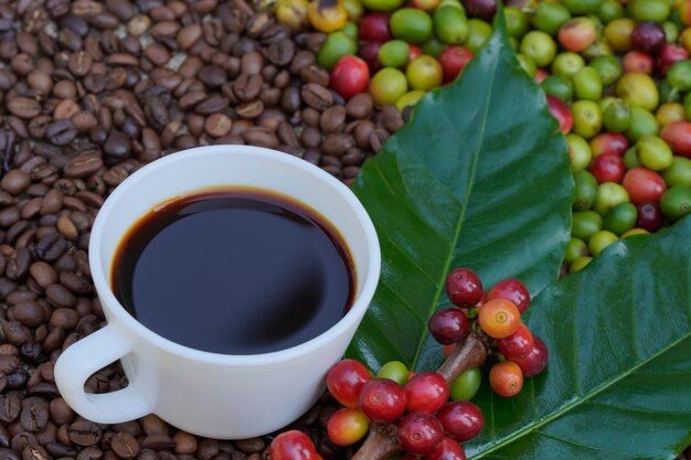 con notas dulces, acidez equilibrada y aroma intenso